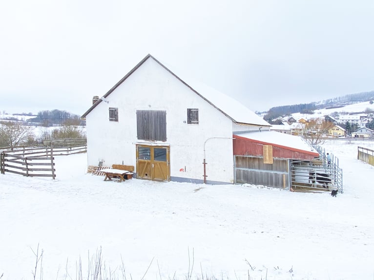 Traumhafte Reitanlage mit Reiterstube – Alleinlage inmitten Südthüringer Natur + perfekte Anbindung