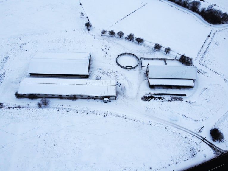 Traumhafte Reitanlage mit Reiterstube – Alleinlage inmitten Südthüringer Natur + perfekte Anbindung