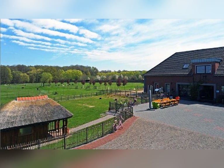 Traumhafter Vierkanthof mit ca. 4,2 ha Nähe Düsseldorf