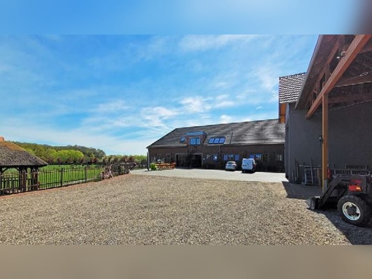 Traumhafter Vierkanthof mit ca. 4,2 ha Nähe Düsseldorf