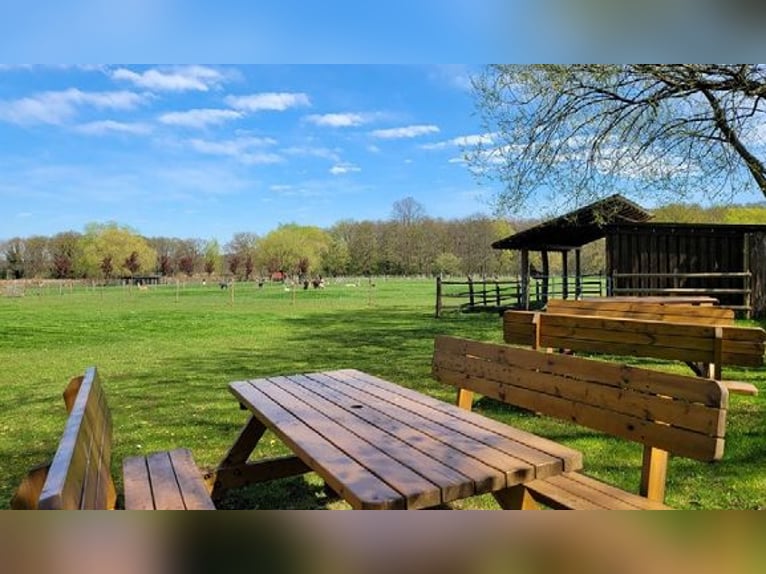 Traumhafter Vierkanthof mit ca. 4,2 ha Nähe Düsseldorf