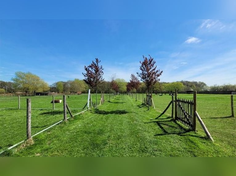 Traumhafter Vierkanthof mit ca. 4,2 ha Nähe Düsseldorf