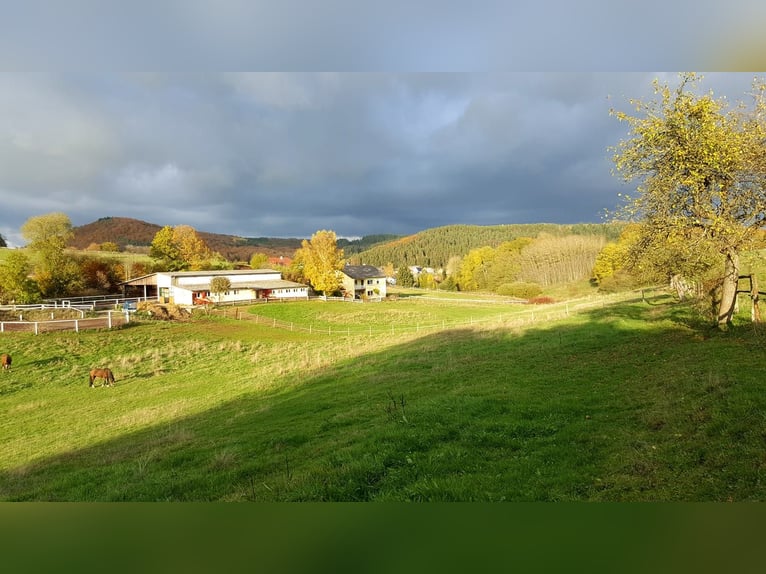 Traumhaftes Reiterhof-Areal mit 11,3 Hektar Eigenland in idyllischer Alleinlage 