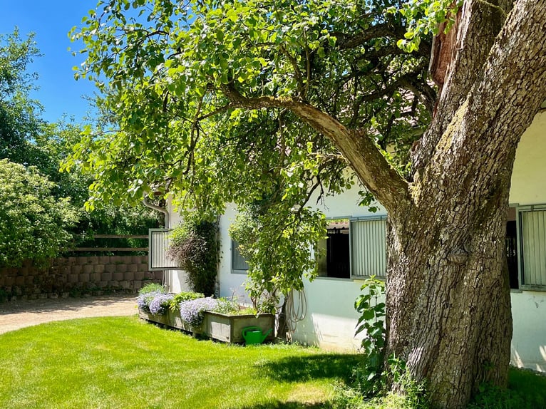 Ubicado en una zona completamente tranquila, con un concepto sólido: romanticismo de finca combinado