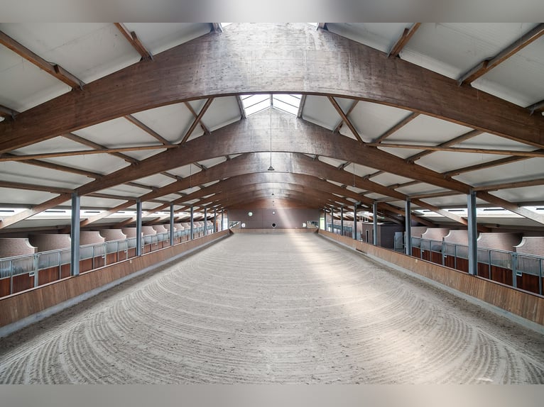 ¡Un hermoso alojamiento ecuestre con muchas posibilidades para el amante de los caballos profesional