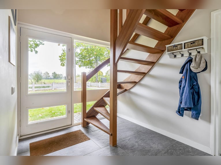 ¡Un lugar hermoso para la felicidad de los caballos!