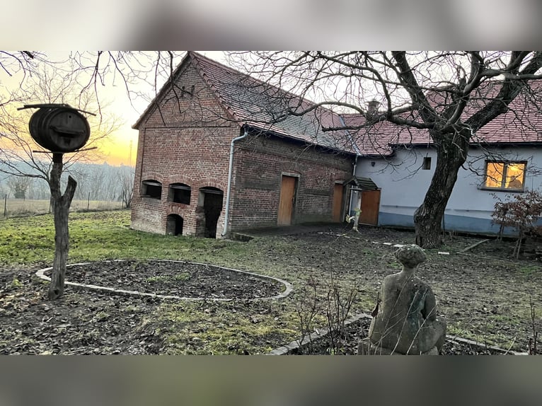 Una joya en Hungría en un paisaje idílico entre Pécs y Kaposvár