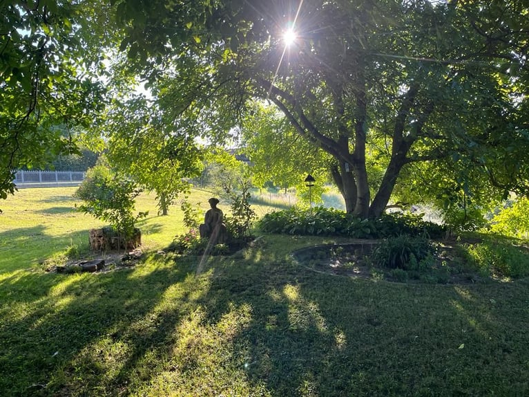 Una joya en Hungría en un paisaje idílico entre Pécs y Kaposvár
