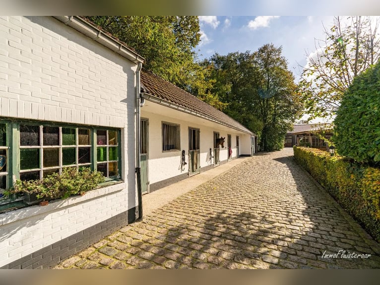 Unieke trainingsstal met prachtige villa op ca. 1 ha te Halle-Zoersel (Mogelijkheid tot aankoop extr