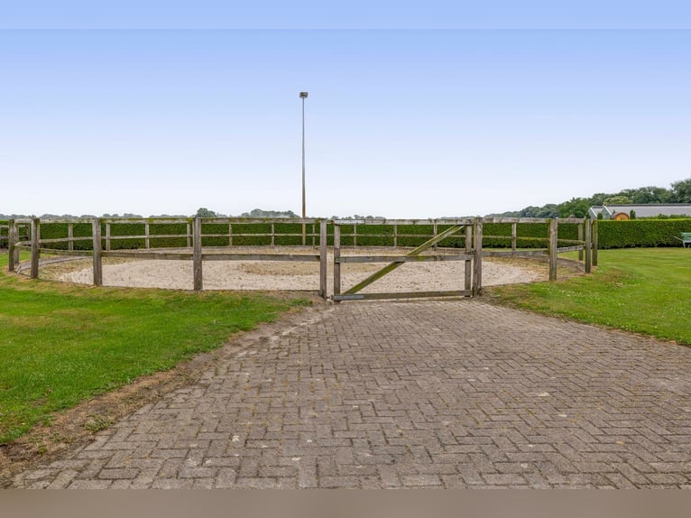 Unique equestrian property with 10 stables & outdoor arena near forest trails