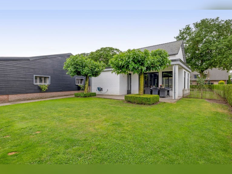 Unique equestrian property with 10 stables & outdoor arena near forest trails