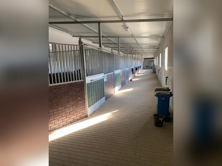 Venta de un centro ecuestre moderno