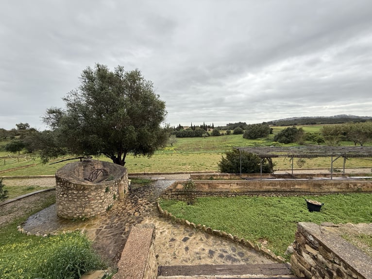 Venta secreta en Mallorca
