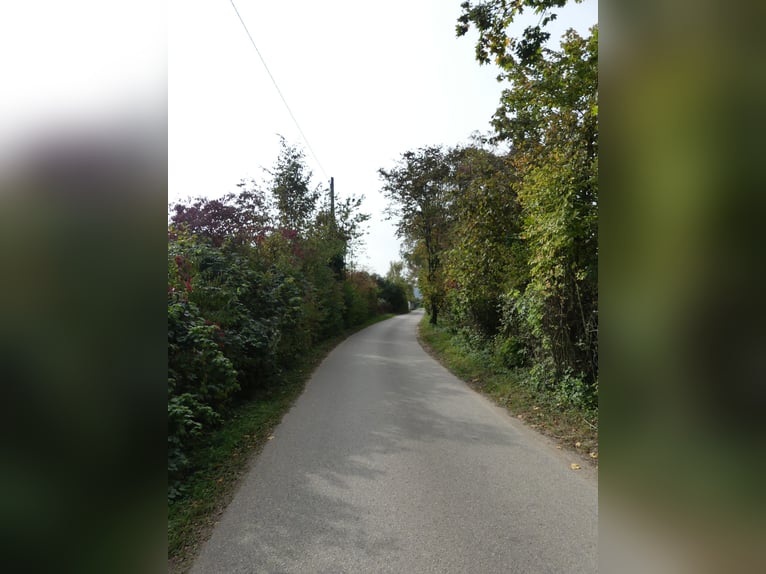 Vergabe der Reitsportanlage Monaise im Erbbaurecht