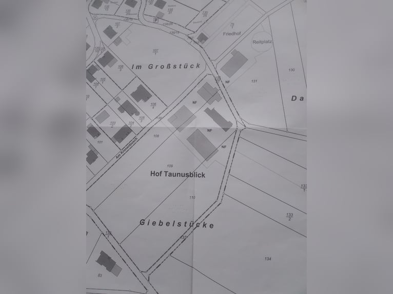 Vielseitiger Traum-Hof südlich von Koblenz für Pferdehaltung oder sonst. landw. Nutzung