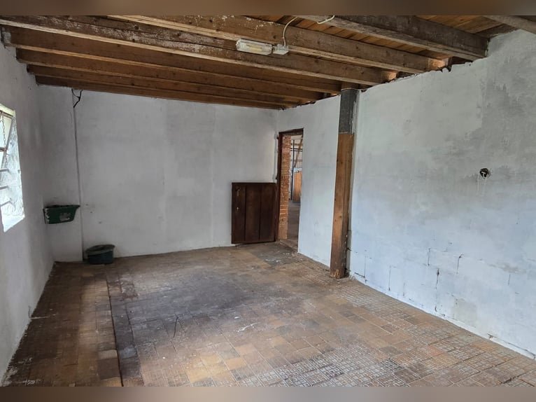 Vielseitiges Pferde- und Wohnensemble mit Ausbaupotenzial - Ideal für Tierklinik, Reitanlage uvm.