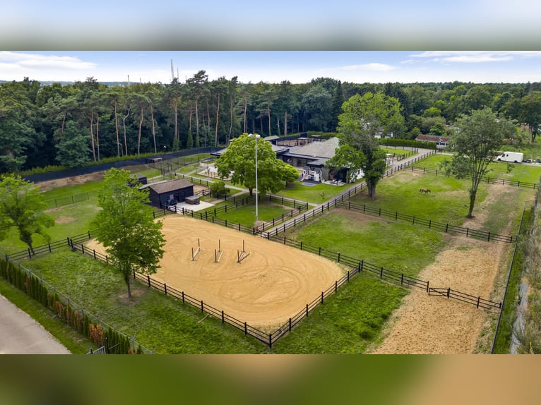 Villa exclusiva con casa de huéspedes y instalaciones ecuestres cerca del Parque Nacional De Meinweg