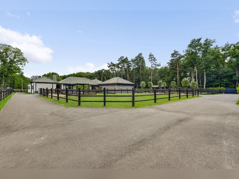 Villa exclusiva con casa de huéspedes y instalaciones ecuestres cerca del Parque Nacional De Meinweg