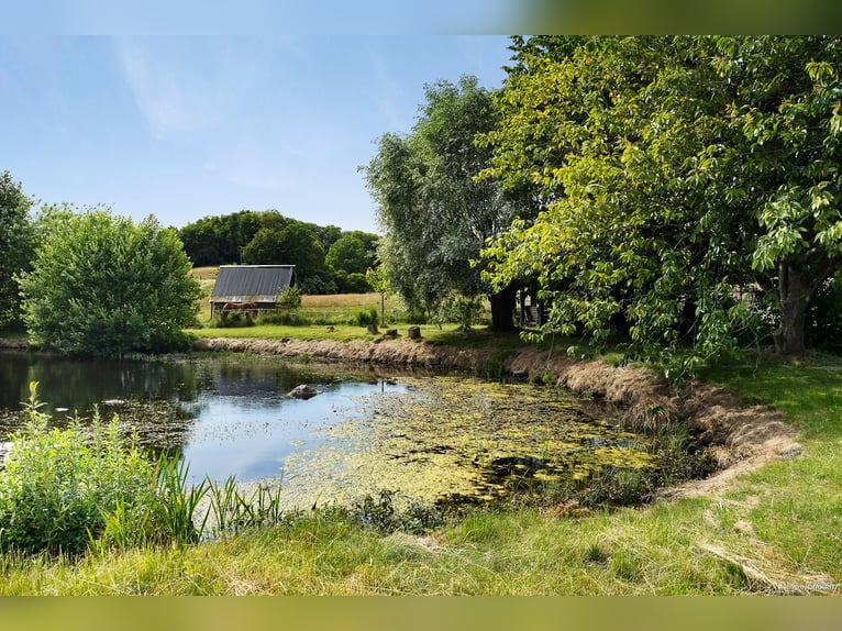 Vive el sueño en la puerta de Österlen: finca ecuestre, recinto para ciervos, río...