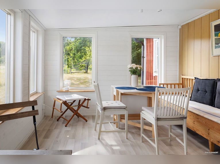 Vive el sueño en la puerta de Österlen: finca ecuestre, recinto para ciervos, río...