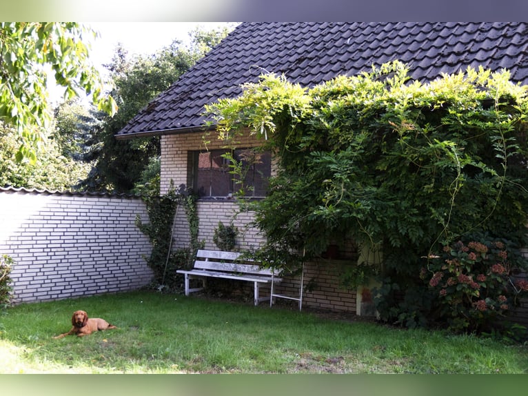 Vivienda con establo para caballos y praderas en Hamminkeln-Brünen