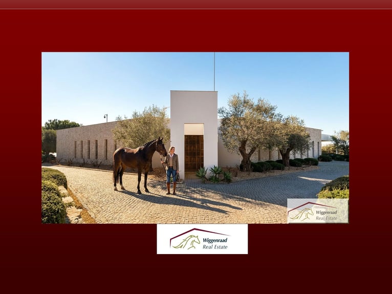Vivienda con estilo y centro ecuestre de primera categoría en el Algarve, Portugal