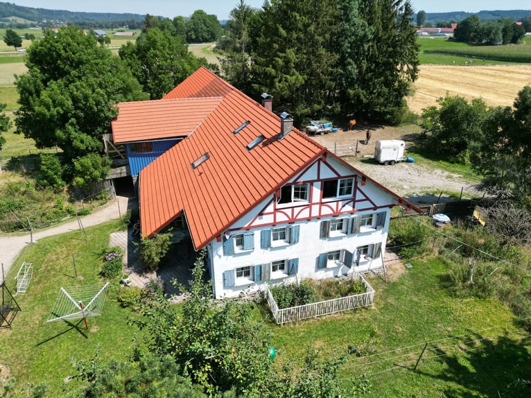 Vivir con caballos en Allgäu