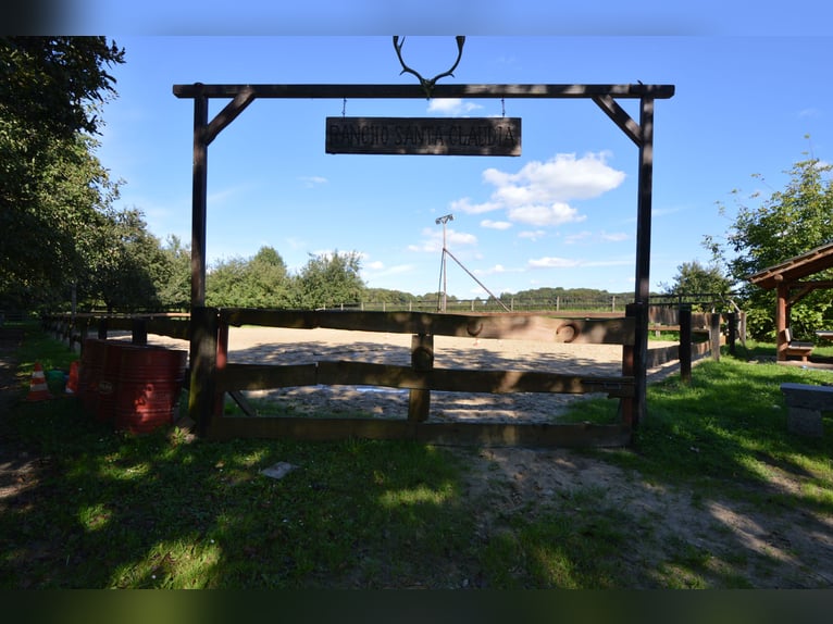 Wohnanlage mit historischem Flair auf Parkgrundstück mit eigenem See für Natur- und Tierliebhaber!