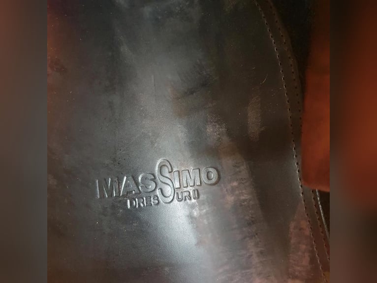 Silla de doma Massimo II