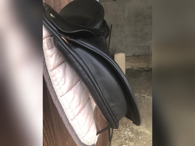 Silla de doma Hintermayer Anatomic 17 