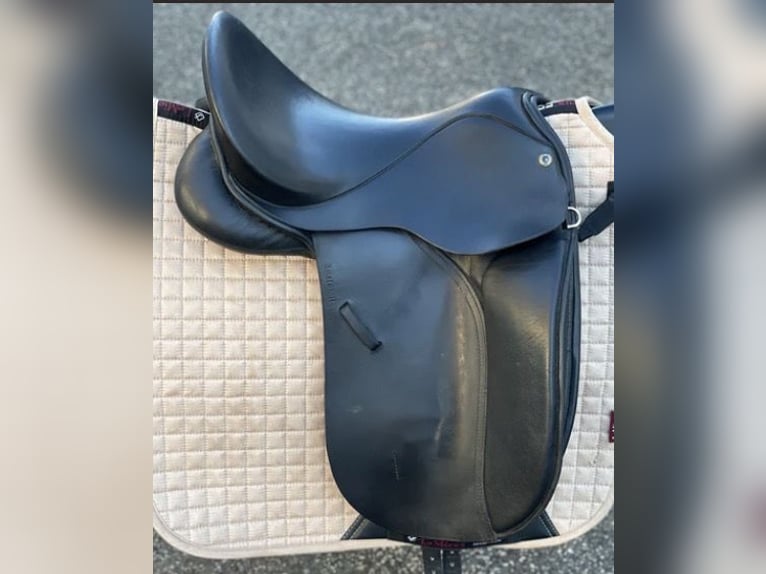 Silla de doma Hintermayer Anatomic 17 