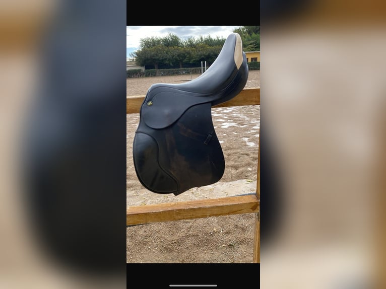 Silla de salto prestige Venecia 17