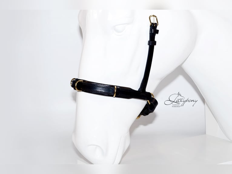 Academic cavesson noseband Lazypony /  Muserola cavesson Académica Lazypony