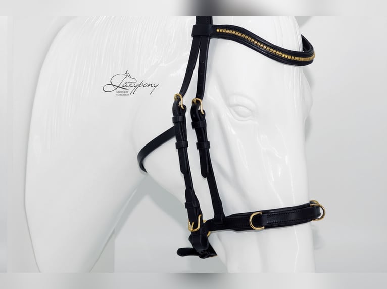 Academic cavesson noseband Lazypony /  Muserola cavesson Académica Lazypony