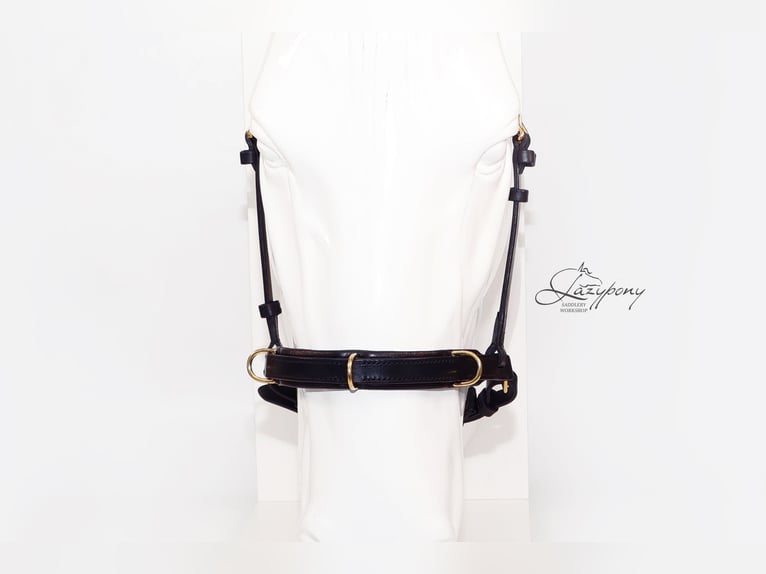 Academic cavesson noseband Lazypony /  Muserola cavesson Académica Lazypony