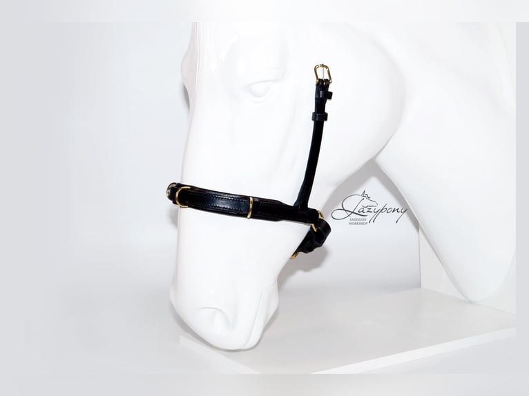 Academic cavesson noseband Lazypony /  Muserola cavesson Académica Lazypony