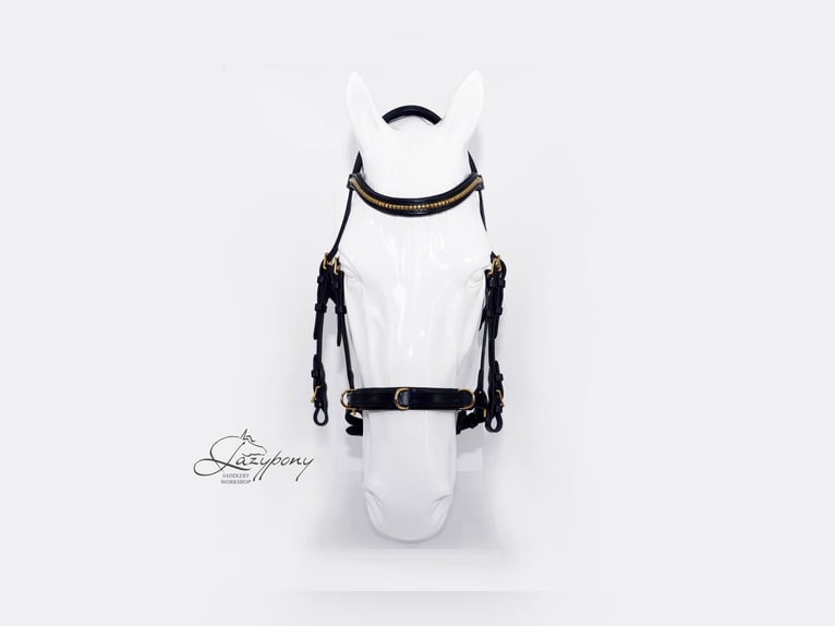 Academic cavesson noseband Lazypony /  Muserola cavesson Académica Lazypony