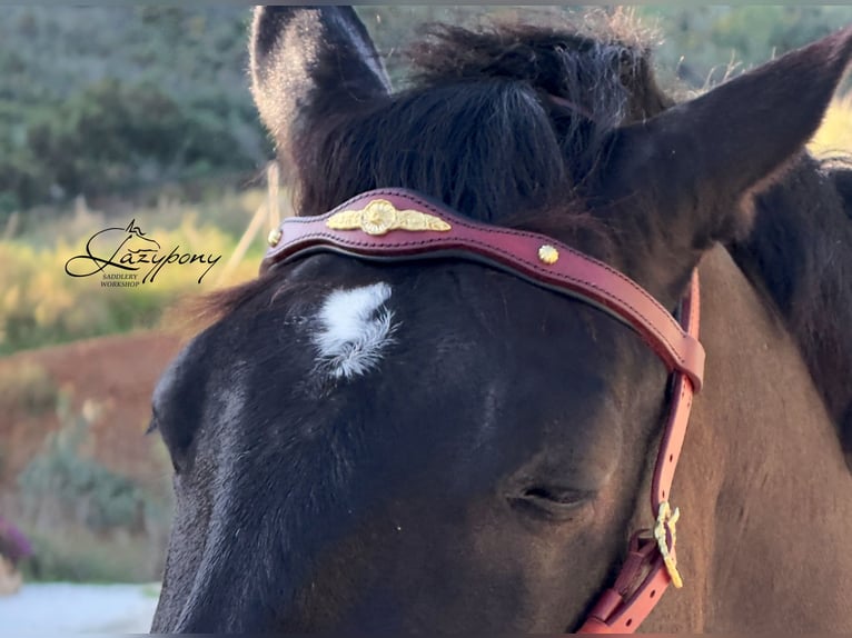 Frontalera clásica barroca artesanal de cuero Lazypony  / Leather Classic baroque browband