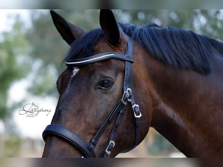 Frontalera Crystal Lazypony White Opal / Crystal Browband Lazypony White Opal
