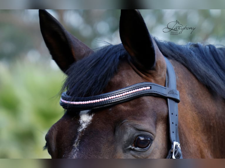 Frontalera de perlas rosas Lazypony / Pink pearl browband Lazypony