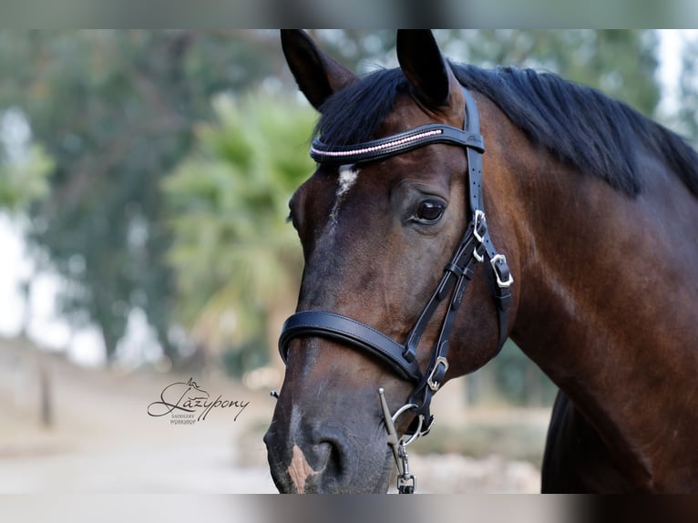 Frontalera de perlas rosas Lazypony / Pink pearl browband Lazypony