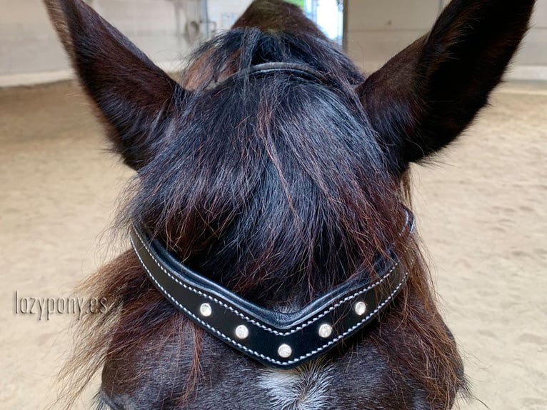 Frontalera Diadem Lazypony en forma de V, Cristal V-shaped browband Diadem