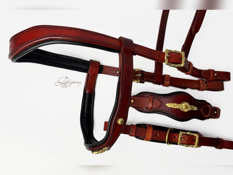 Cabezada hackamore barroca Lazypony / Baroque hackamore bridle Lazypony