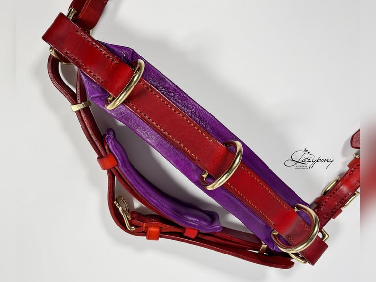 Handmade leather cavesson Lazypony, lunging cavesson, cabezada de cuero, cabezada serreta Lazypony