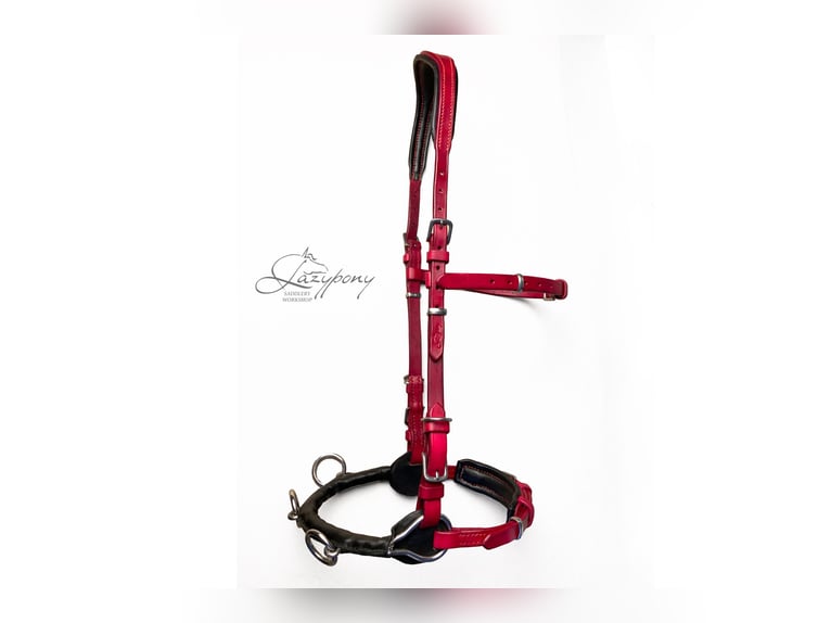Handmade leather cavesson Lazypony, lunging cavesson, cabezada de cuero, cabezada serreta Lazypony