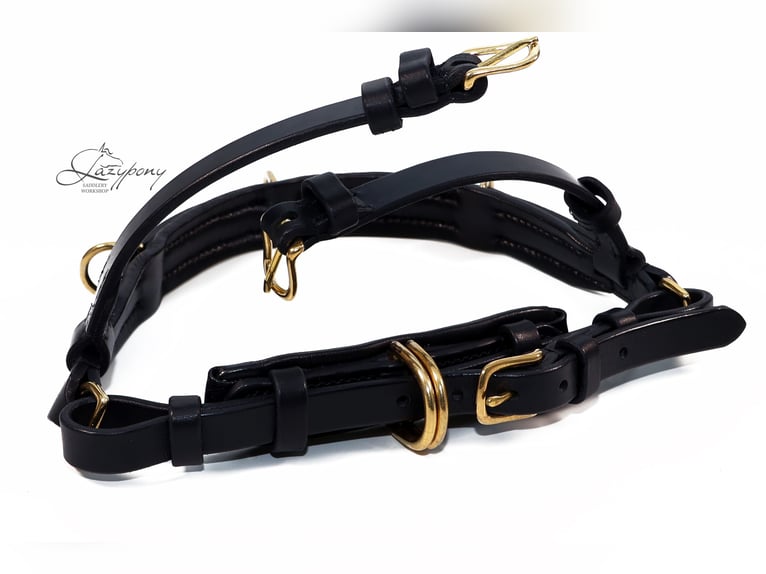 Cabezada cavesson académica Lazypony/ Academic cavesson horse bridle