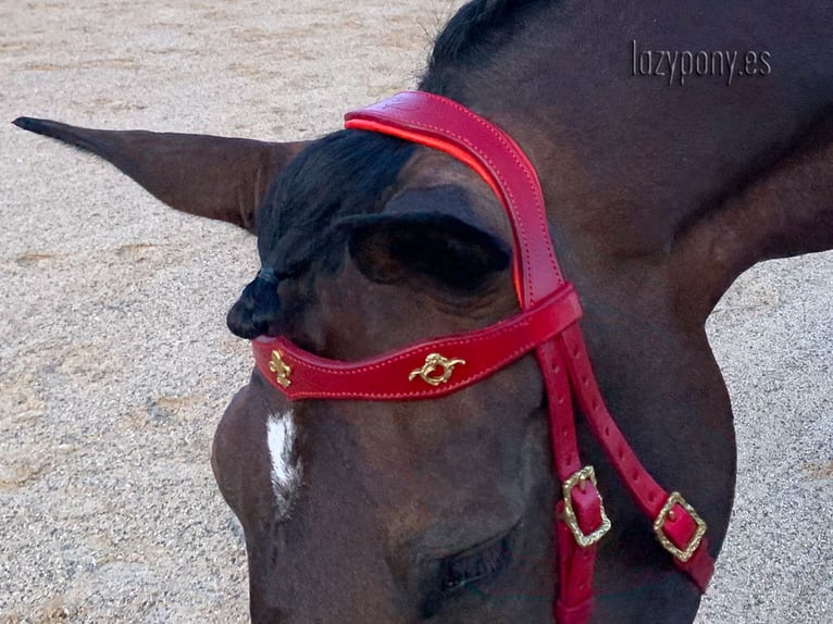 Baroque bridle Vienna Lazypony, cabezada de cuero barroca, leather horse bridle,