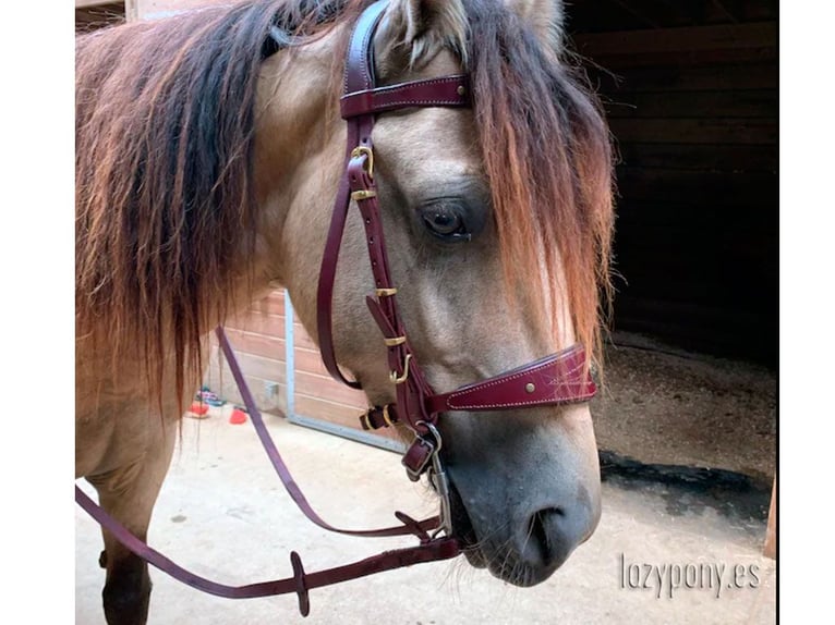 Cabezada Lazypony de estilo barroco, Fancy handcrafted baroque bridle Lazypony