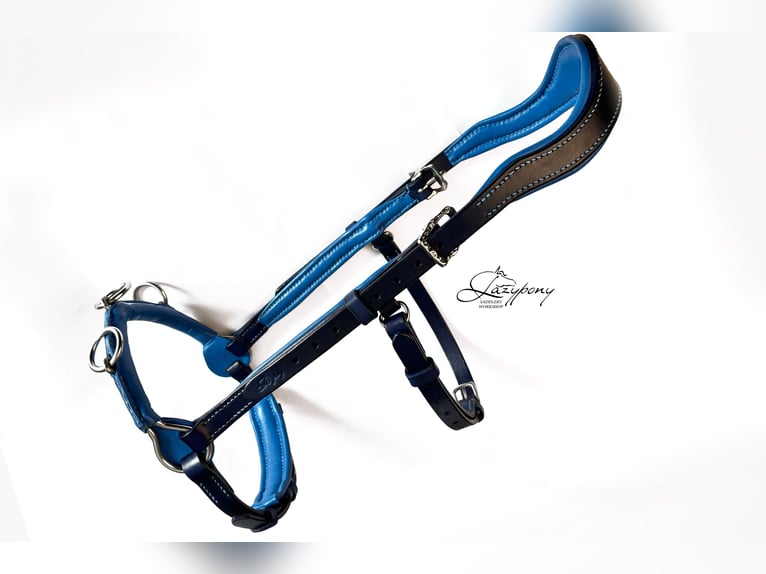 Cavesson francés de estilo barroco Lazypony, French baroque style cavesson Lazypony