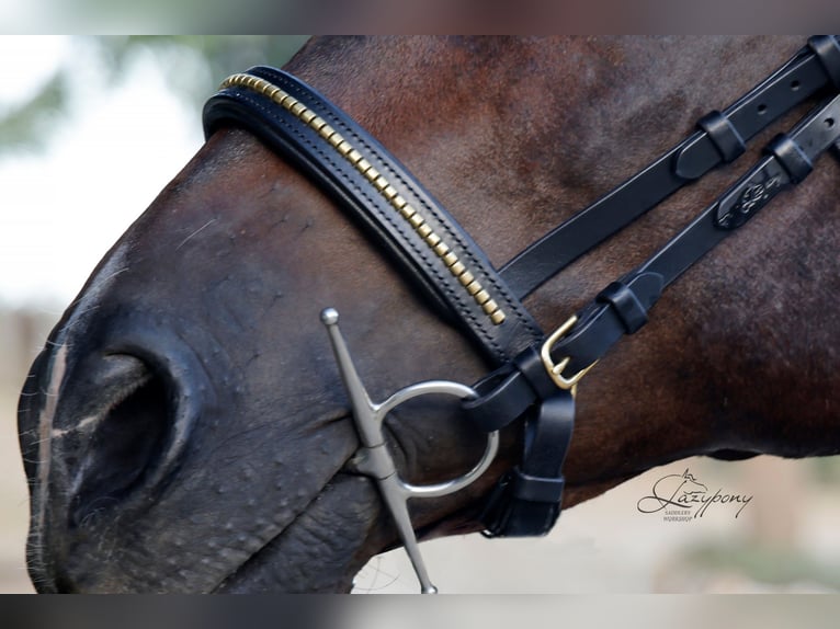 Muserola clincher Lazypony / Clincher noseband Lazypony